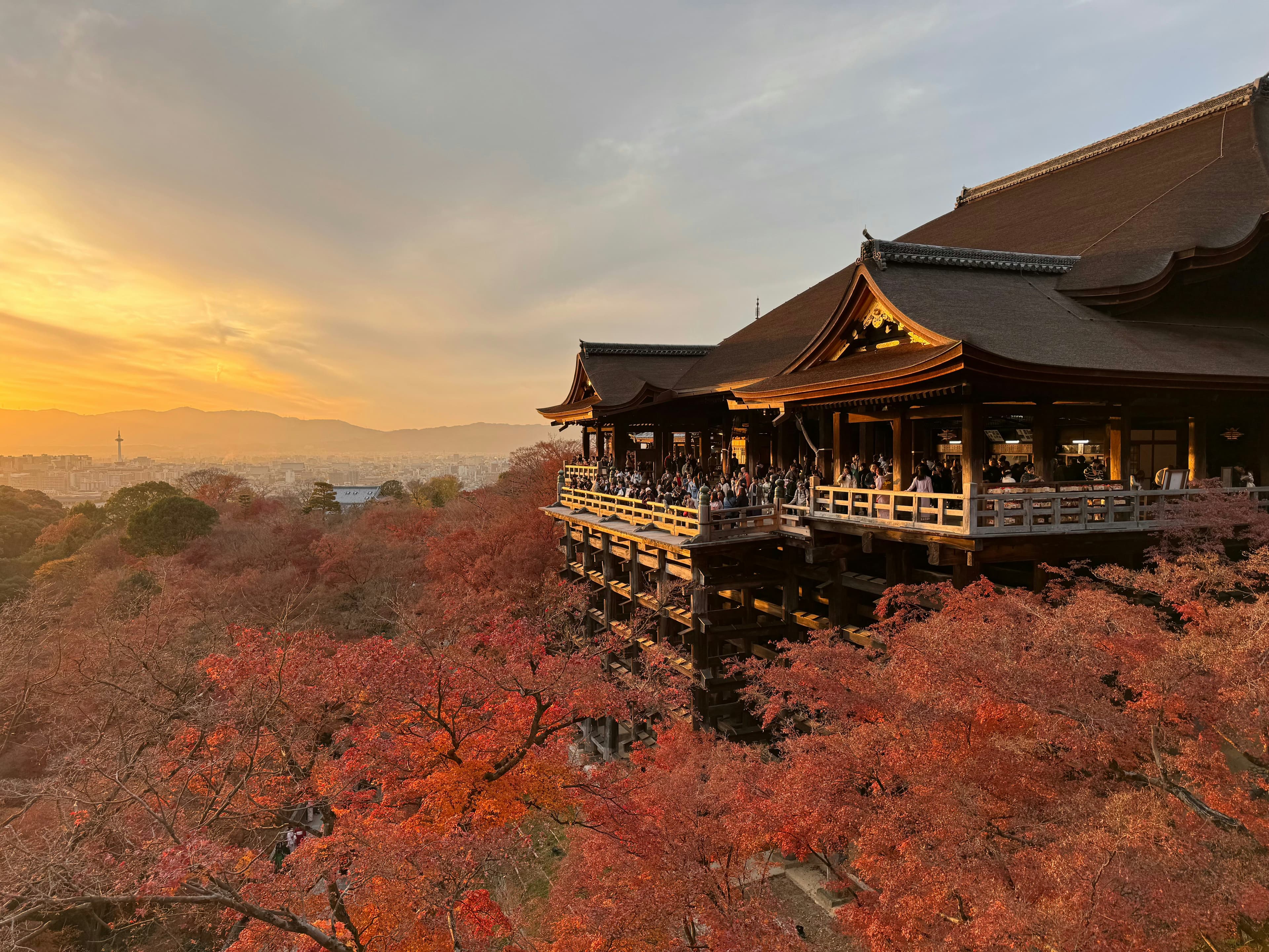 Ultimate Kyoto 2025: Temples, Gardens & Cherry Blossoms - Complete Cultural Heritage City Guide