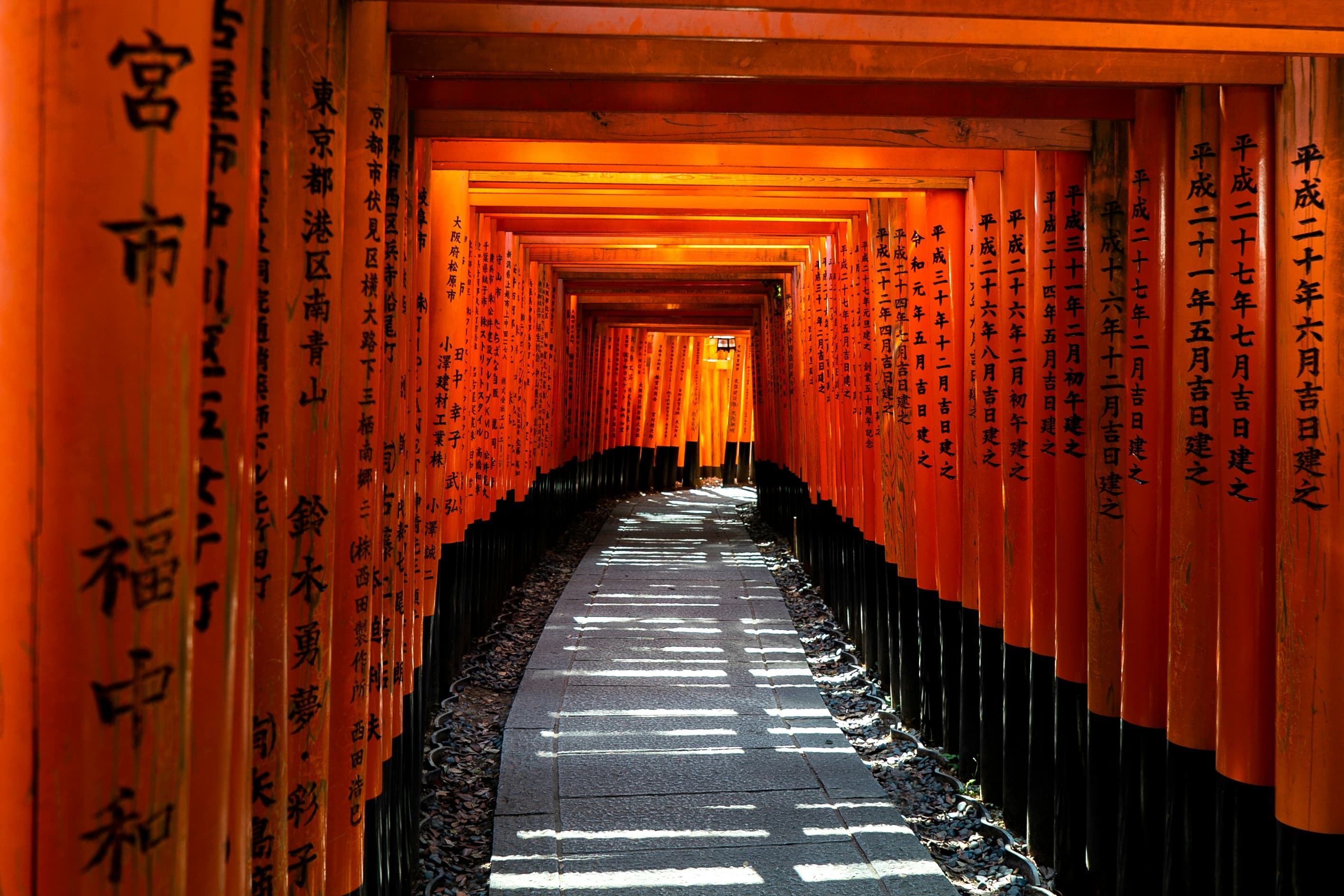 Complete Kyoto Travel Guide 2025: Temples, Gardens & Cherry Blossom Season