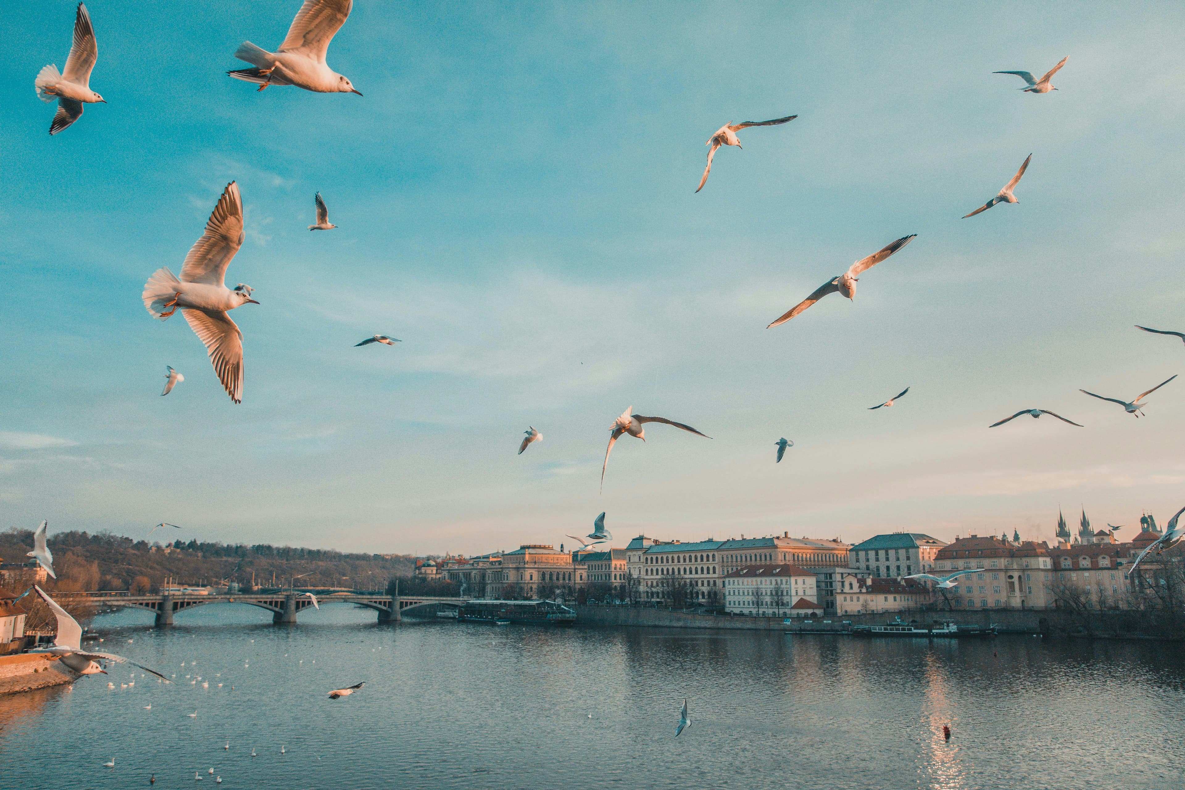 Romantic Cities in Europe 2025: Love Stories, Hidden Gems & Dreamy Escapes
