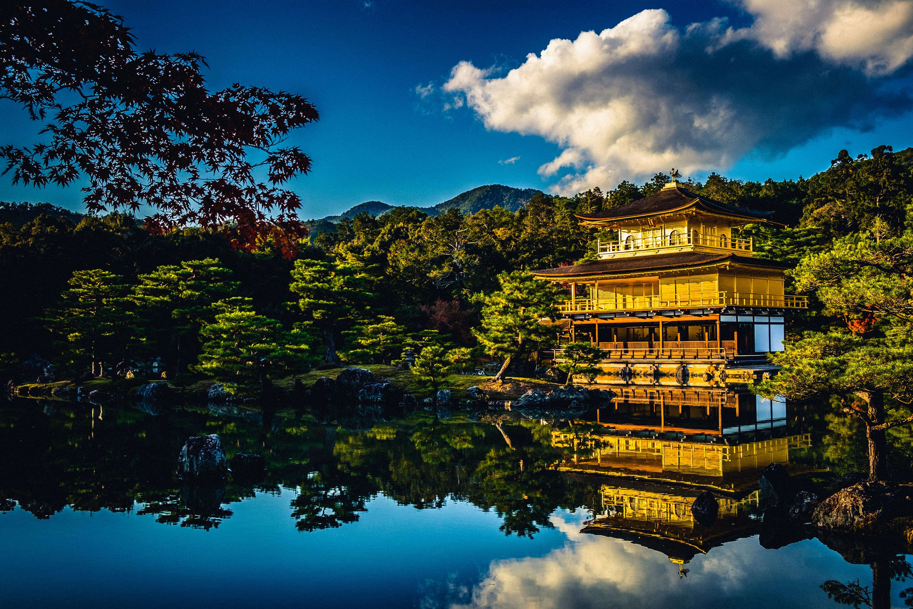 Ultimate Kyoto Travel Guide 2025: Temples, Gardens & Cherry Blossoms