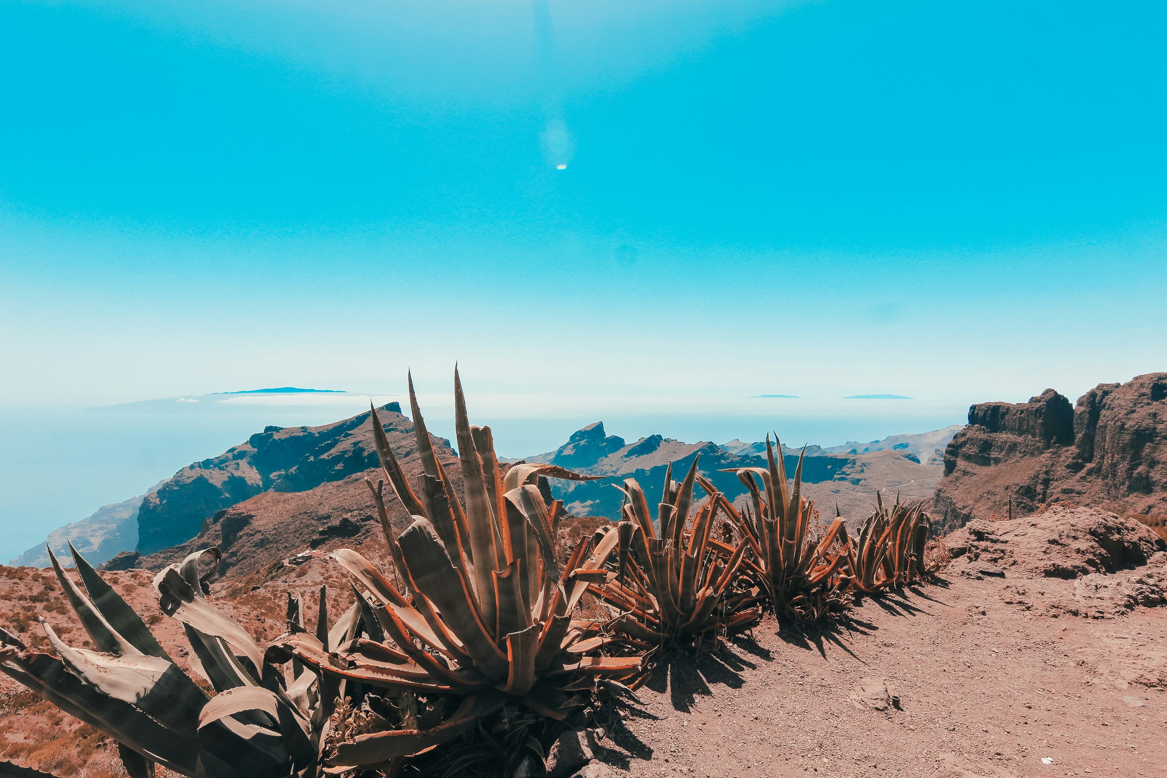 Tenerife 2025: Teide, playas, laurisilva y cielos estrellados — guía completa 4–6 días